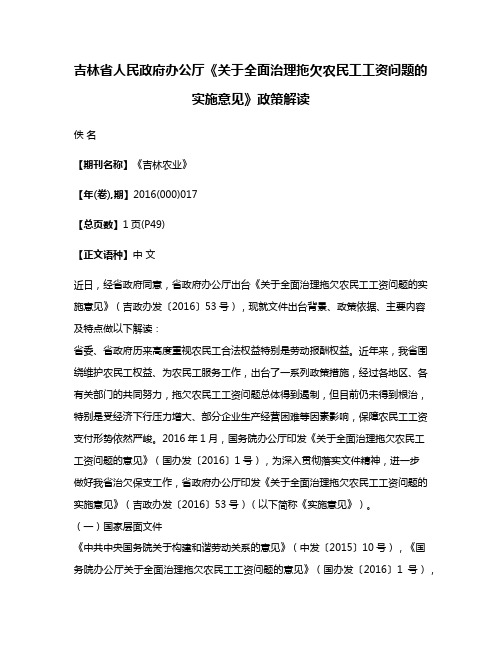 吉林省人民政府办公厅《关于全面治理拖欠农民工工资问题的实施意见》政策解读