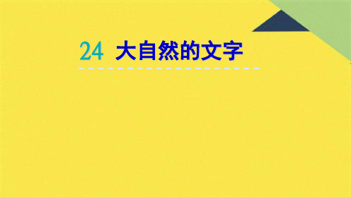 24.大自然的文字(共6张PPT)