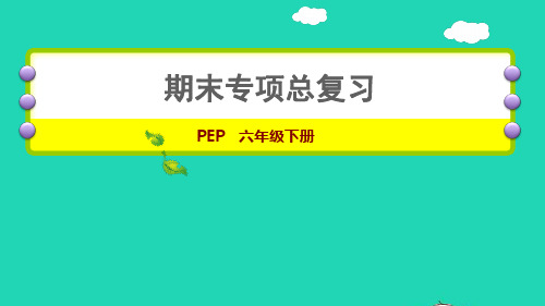 六年级英语下册阅读理解专项(二)课件人教PEP