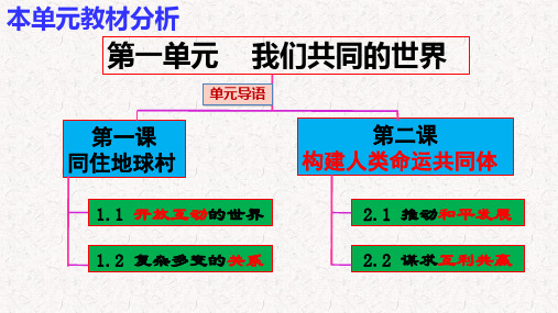 1.1   开放互动的世界   课件(14张ppt)