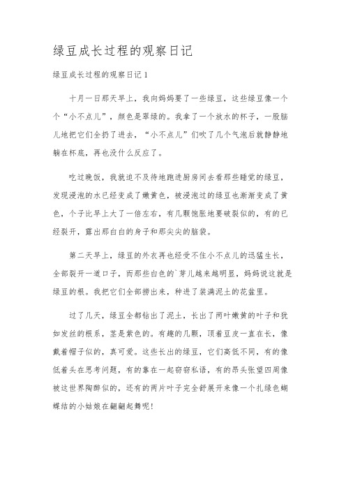 绿豆成长过程的观察日记