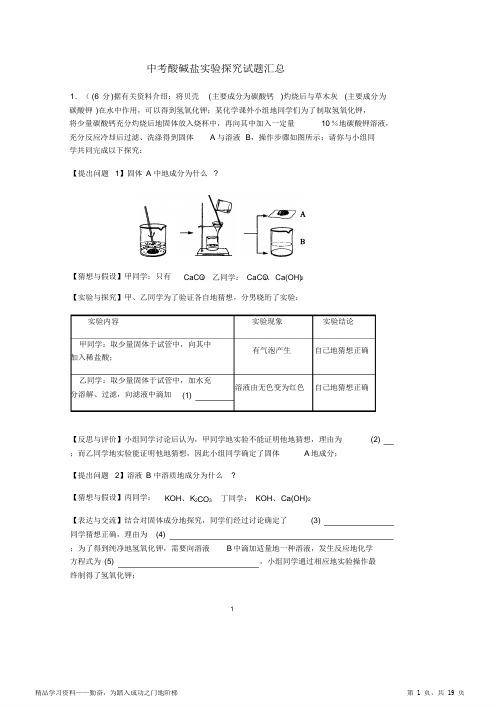 2021年中考酸碱盐实验探究题总结归纳,推荐文档(超详细)