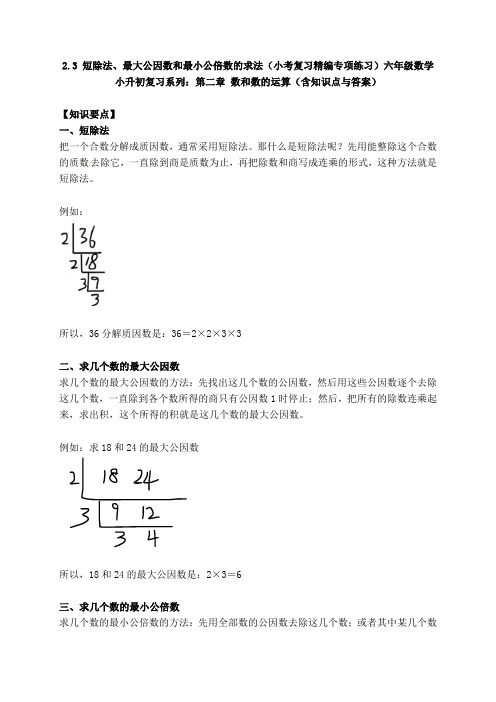 六年级数学小升初复习2.3 短除法、最大公因数和最小公倍数的求法(小考复习精编专项练习)第二章 数和