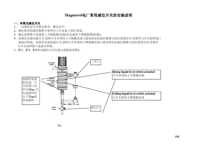 Magnetrol电厂液位开关安装