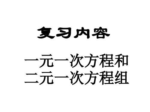 中考复习讲座2一元一次方程二元一次方程组