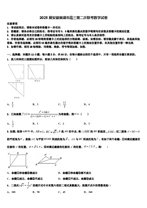 2025届安徽巢湖市高三第二次联考数学试卷含解析