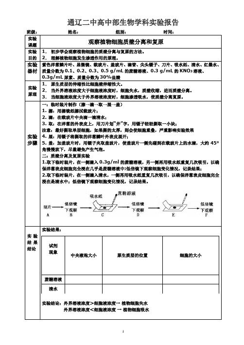 质壁分离实验报告