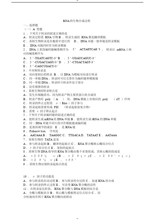 (完整版)11生物化学习题与解析--RNA的生物合成过程