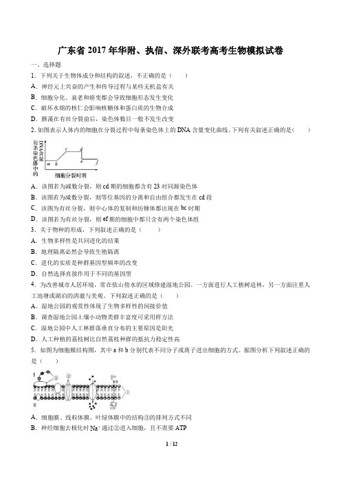 广东省2017年华附、执信、深外联考高考生物模拟试卷及答案解析