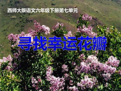 《寻找幸运花瓣》 精品PPT课件(共12张)