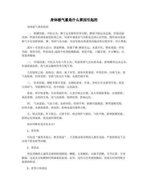 身体湿气重是什么原因引起的