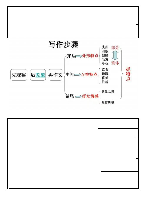 写动物的作文技巧，