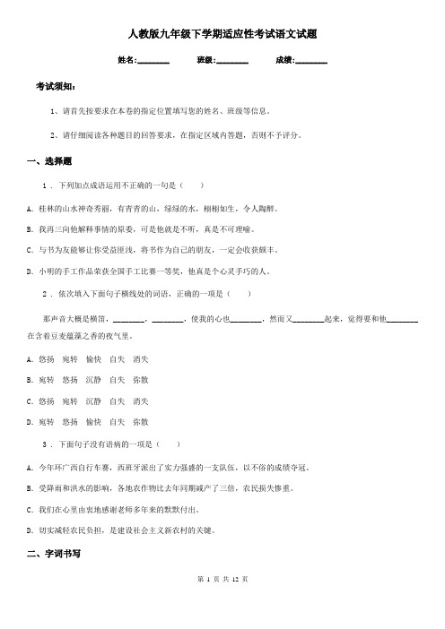 人教版九年级下学期适应性考试语文试题