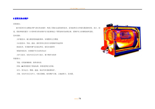 贝龙公司锅炉样本