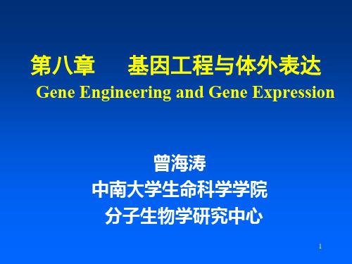 分子生物学-基因工程与体外表达