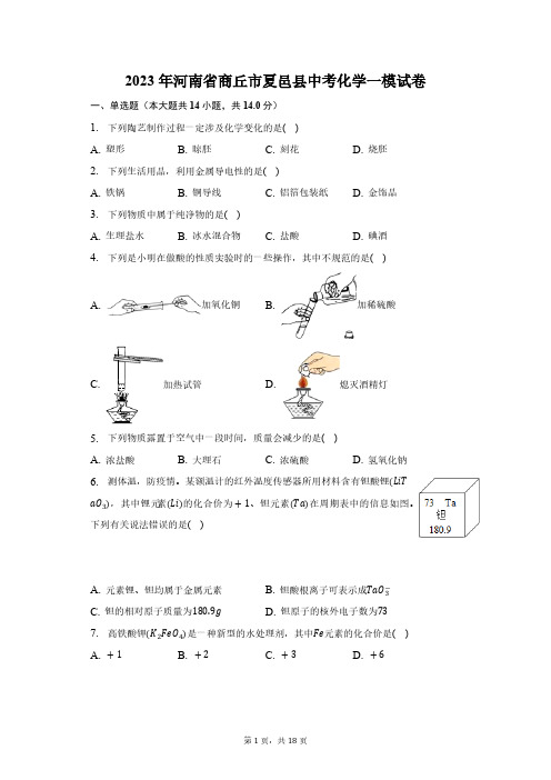 2023年河南省商丘市夏邑县中考化学一模试卷(含解析)