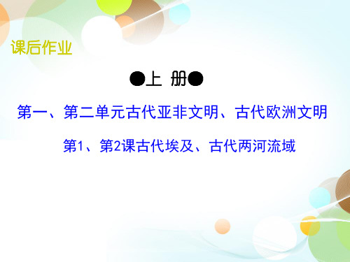 九上第1、第2课 古代埃及、古代两河流域-2020秋部编版九年级历史全一册(世界历史)课后作业(共21张PPT)