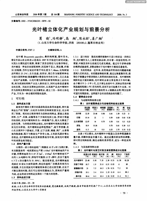 光叶楮立体化产业规划与前景分析