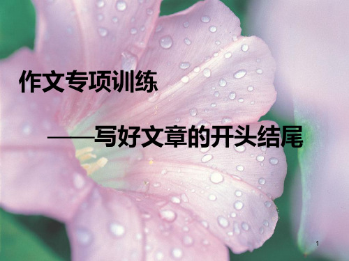 中考作文开头结尾专项训练)幻灯片精品PPT课件