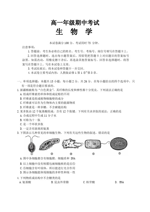 河北省唐山市部分学校2024~2025学年高一上学期11月期中联考生物试卷