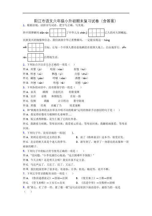 阳江市语文六年级小升初期末复习试卷(含答案)