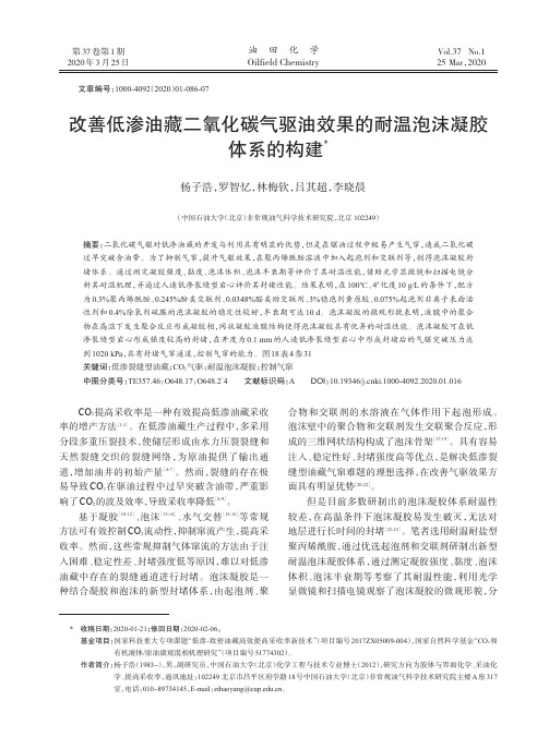 改善低渗油藏二氧化碳气驱油效果的耐温泡沫凝胶体系的构建