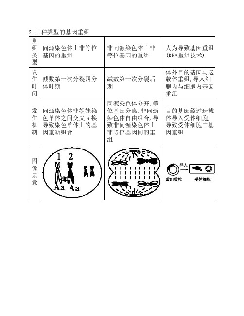 2.三种类型的基因重组