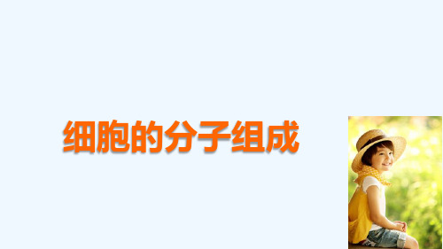 高中生物第一章细胞的分子组成.蛋白质课件浙科版