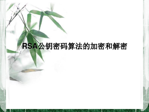 RSA公钥密码算法的加密和解密