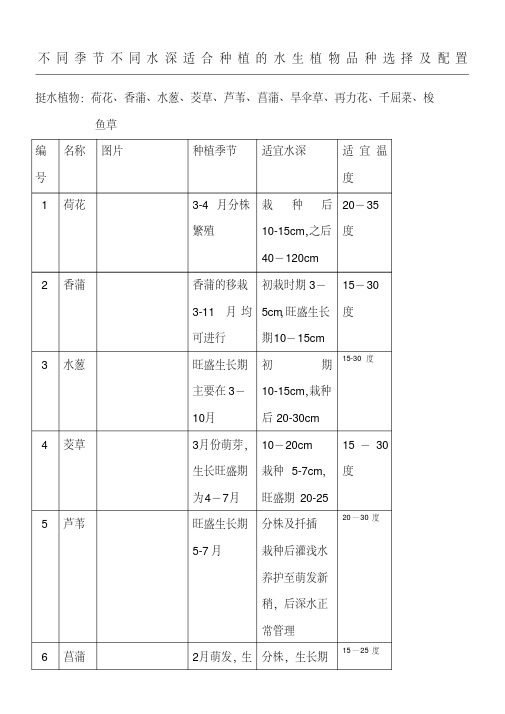 不同季节不同水深适合种植的水生植物选择