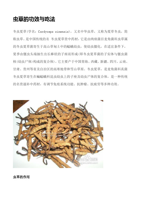 虫草的功效与吃法