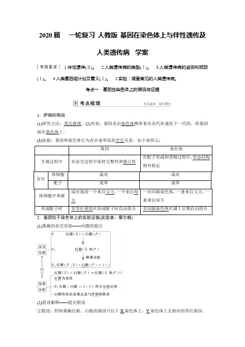 2020年高考 一轮复习 人教版 基因在染色体上与伴性遗传及人类遗传病 学案.doc