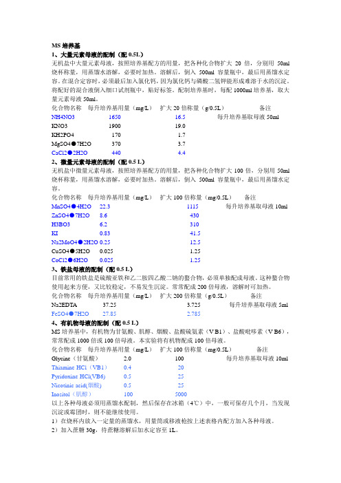 MS培养基和GUS染色