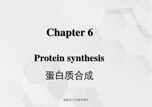 基础分子生物学课件