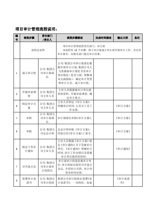 项目审计管理流程说明