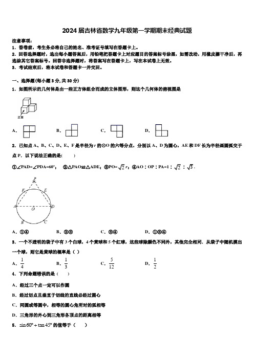 2024届吉林省数学九年级第一学期期末经典试题含解析