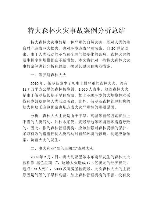 特大森林火灾事故案例分析总结