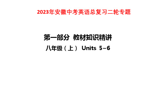 2023年安徽中考英语总复习二轮专题课件：八年级(上) Units 5~6