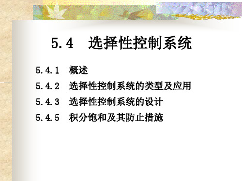 第5章4 选择性控制系统-12年