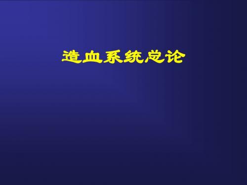 造血系统总论