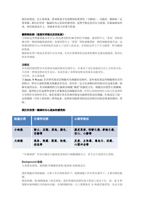 神经科学 视觉