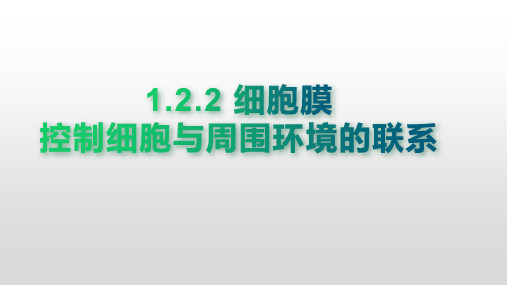 浙科版(2019)必修一  2-2 细胞膜控制细胞与周围环境的联系  课件(19张)