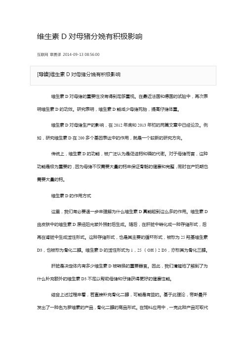 维生素D对母猪分娩有积极影响