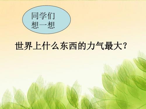 《野草》PPT课件