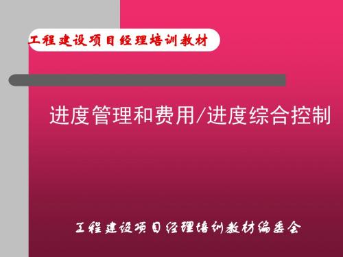 进度管理和费用、进度综合控制(幻灯片)