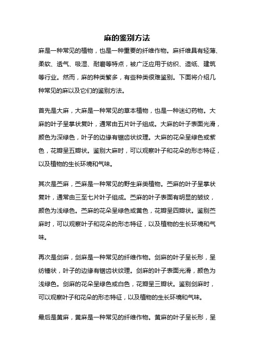 麻的鉴别方法