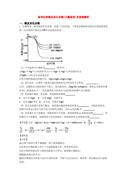 高考化学镁及其化合物(大题培优)及答案解析