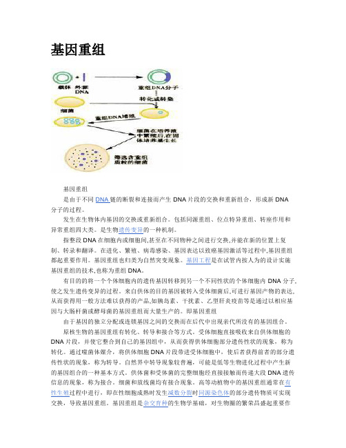 基因重组,生物合成概念