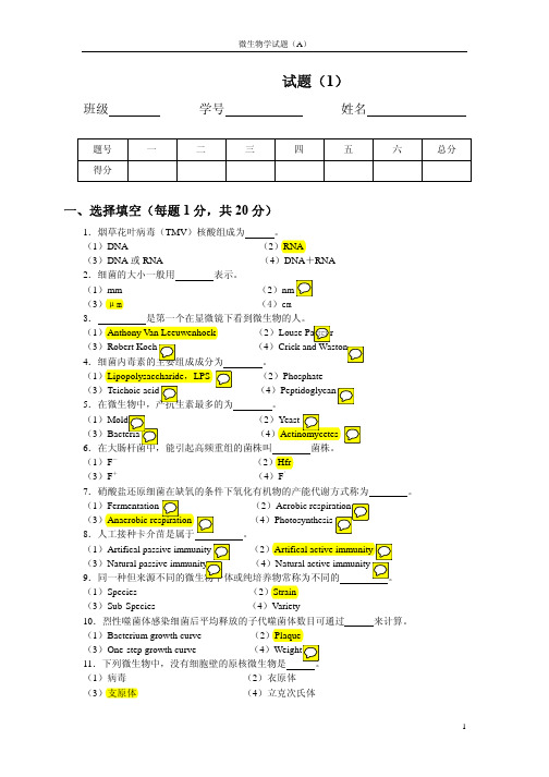 微生物：考试试题及答案