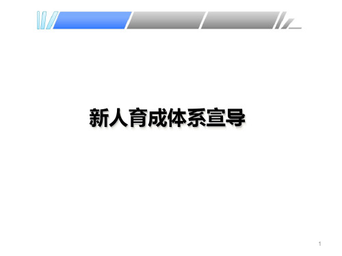 保险新人育成体系宣导PPT幻灯片课件